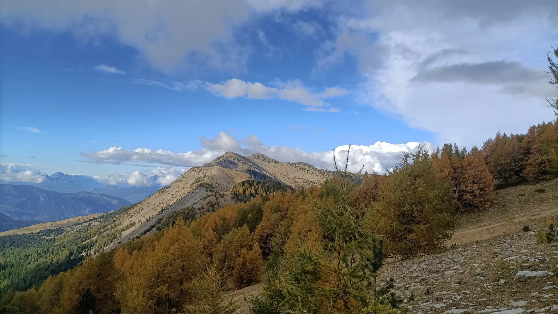 Randonnée journée_Montclar