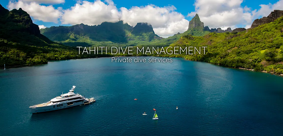 Tahiti Dive Management