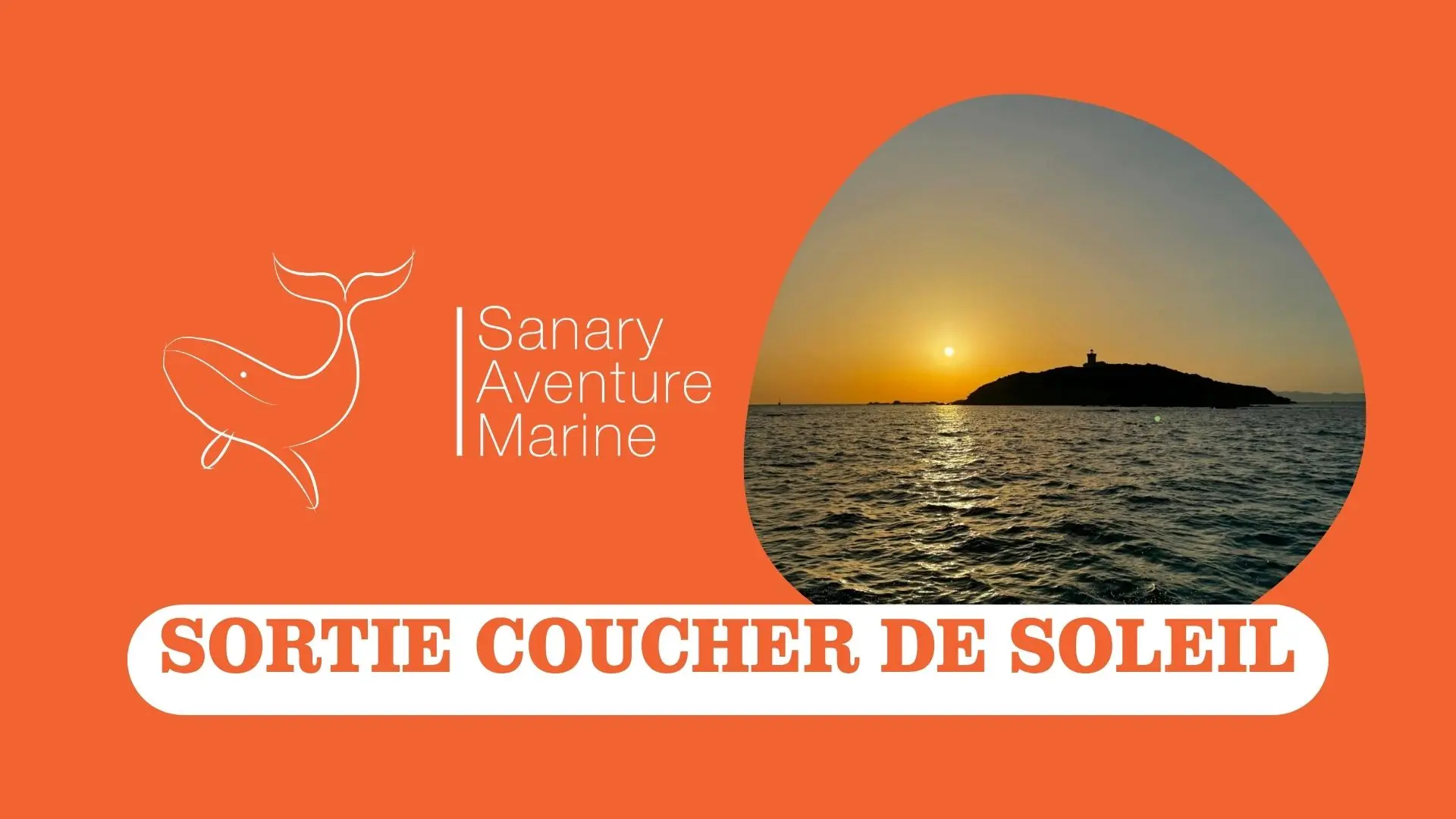 Sortie coucher de soleil | Sanary Aventure Marine_Sanary-sur-Mer