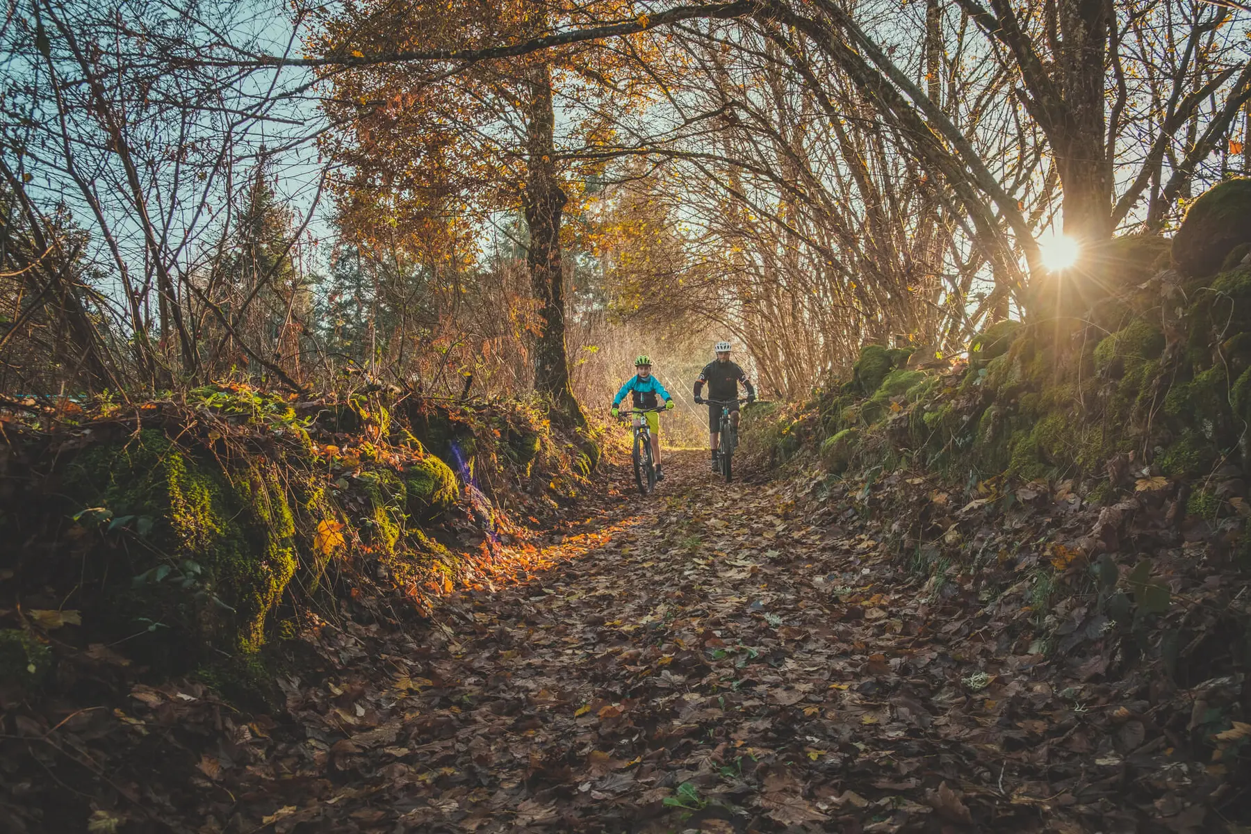Balade en VTT à Villerest