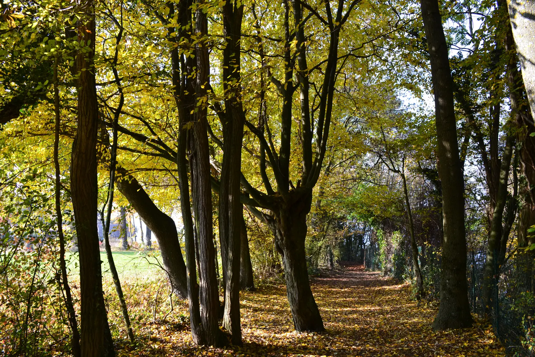 Départ de la balade- chemin des Vaudois