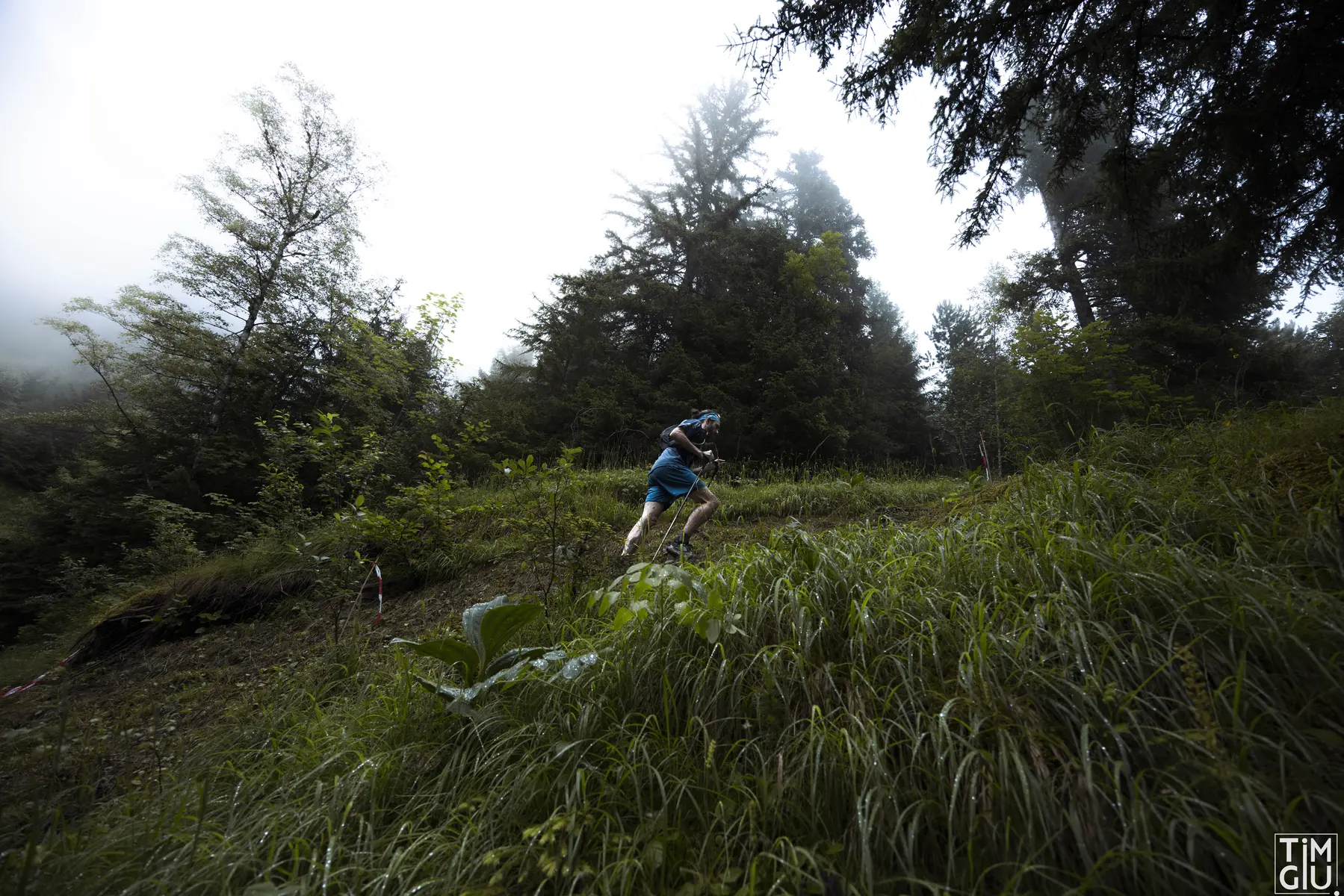 Trail du Tour des Fiz 2024
