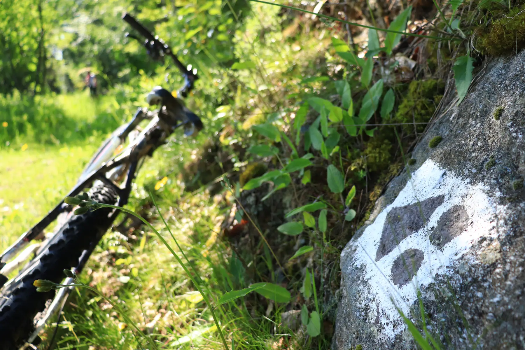 VTT dans le Pilat