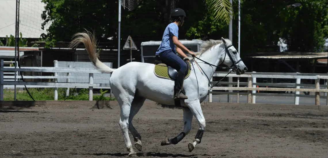 Centre Equestre L'Eperon