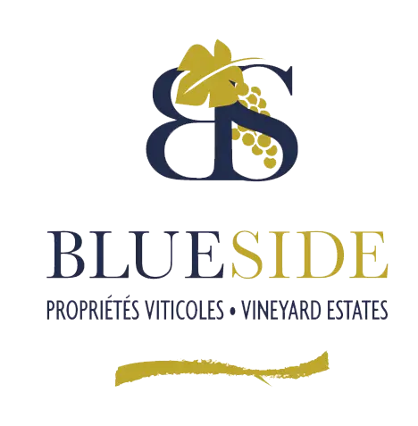 Blue side