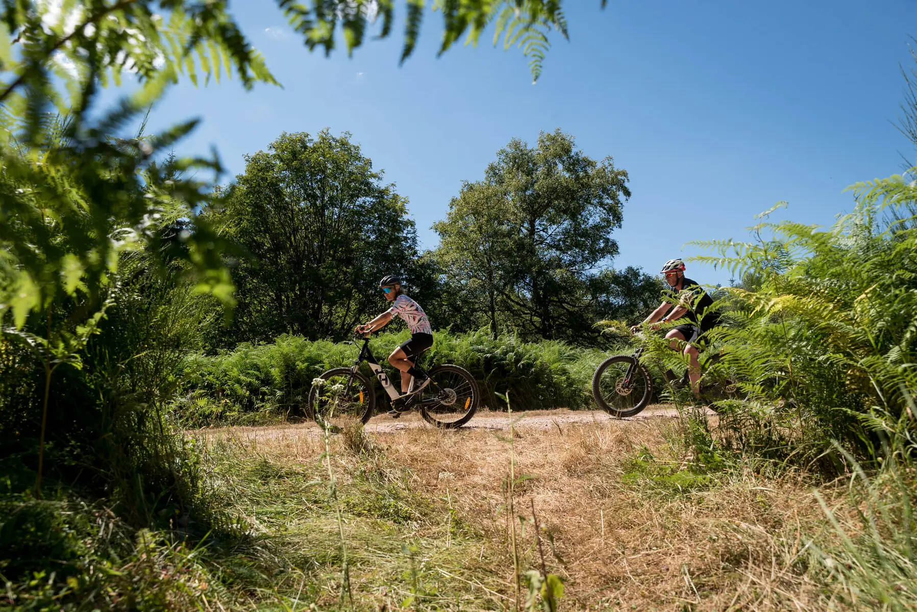 Promenade à VTT dans le Roannais