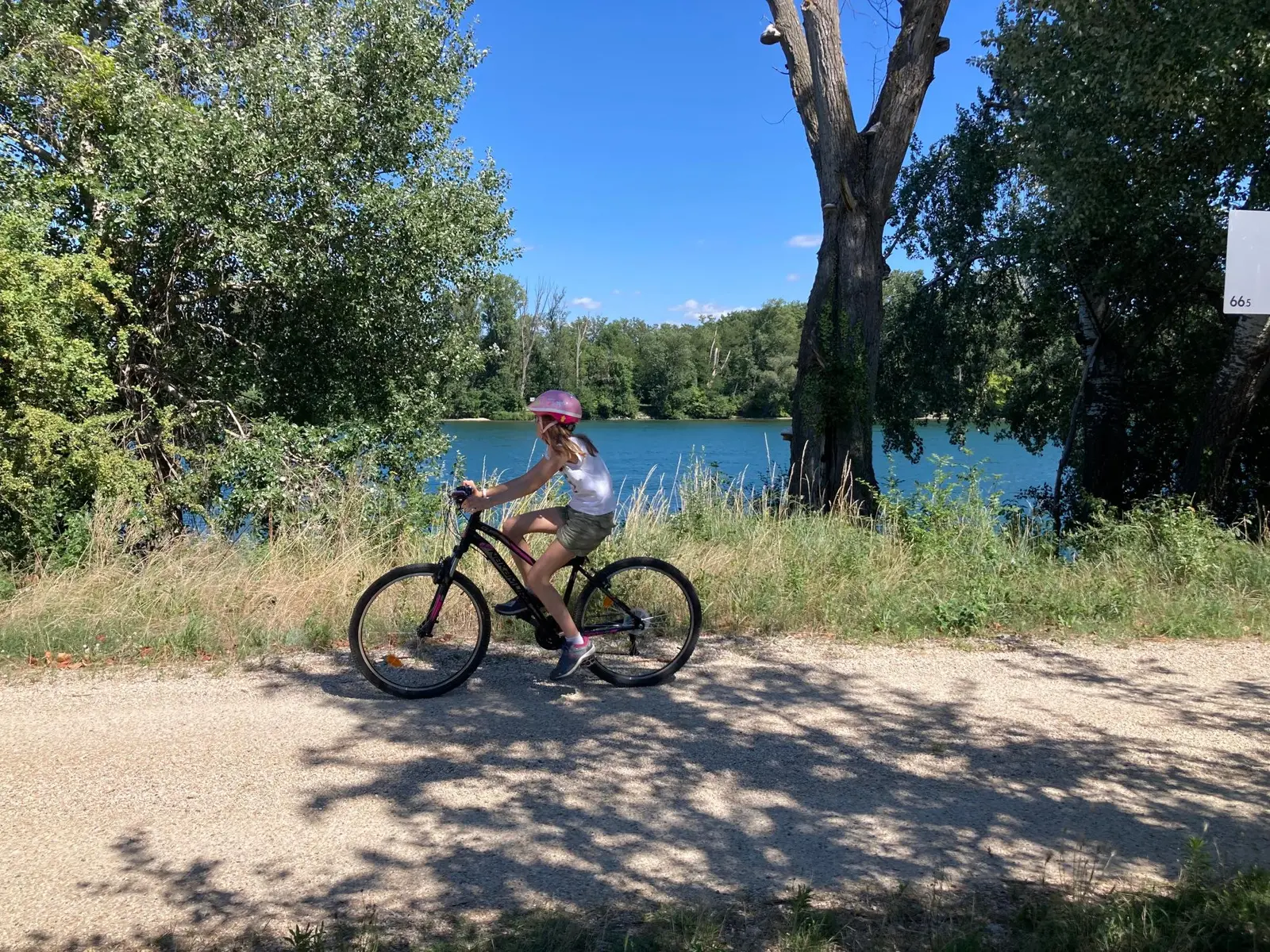 Voie douce les berges du Rhône entre Peyraud et Andance