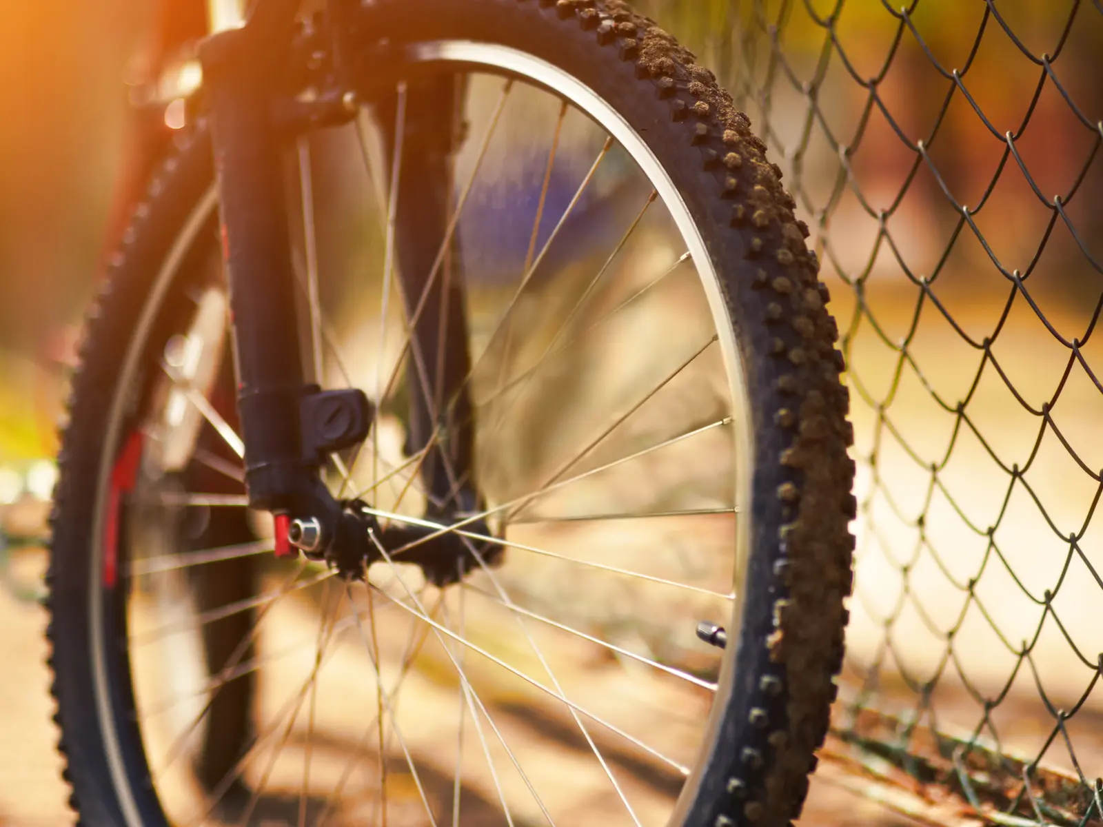 Roue de VTT