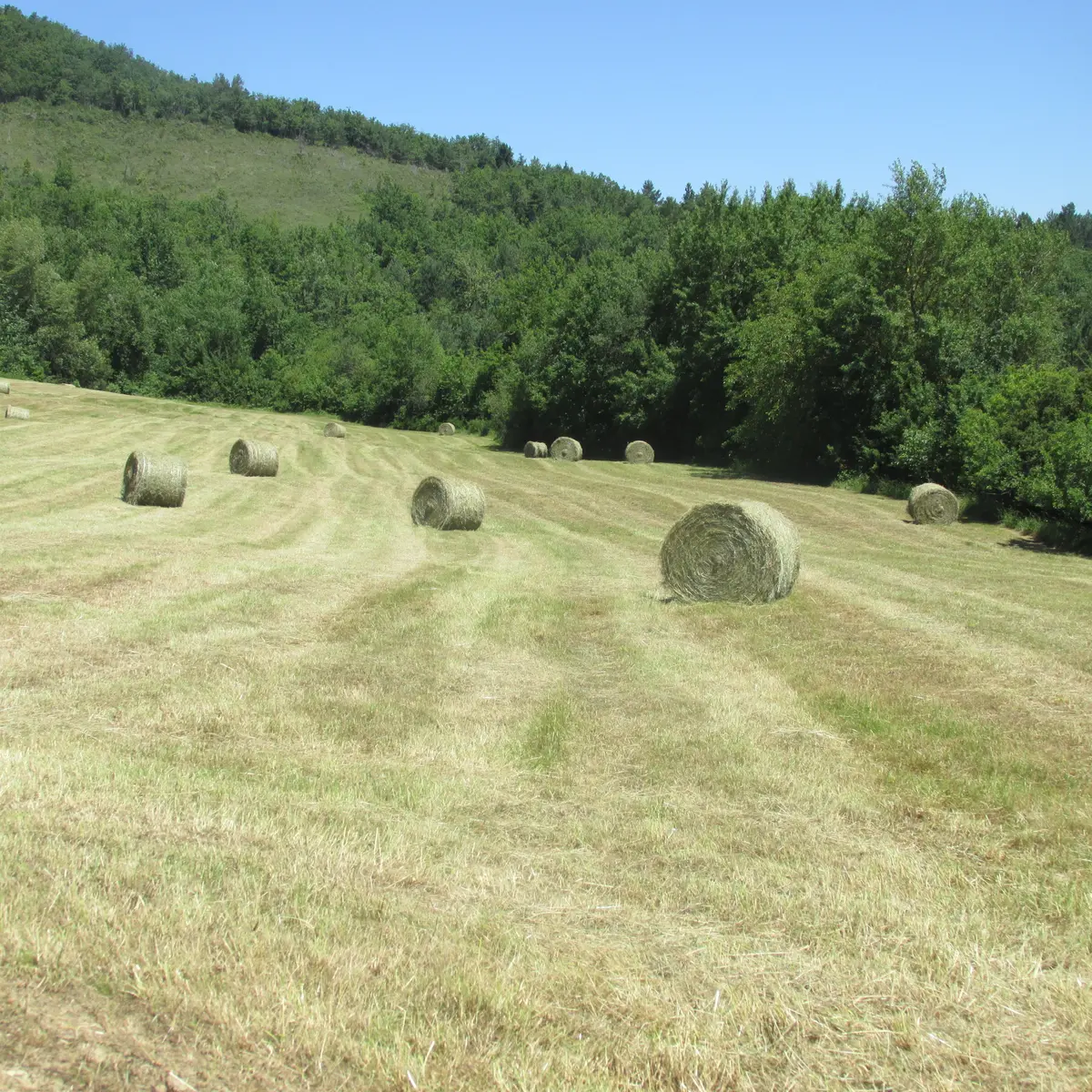 Une vue prise pendant la rando