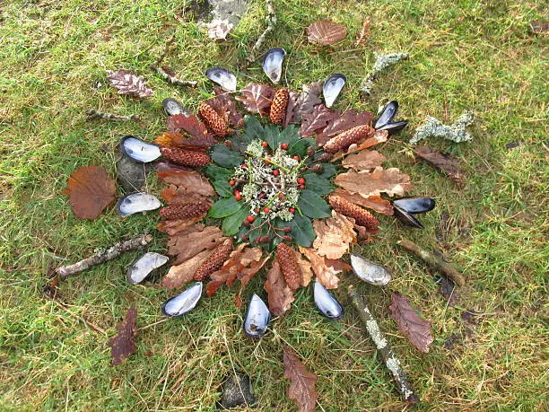œuvre d'art nature