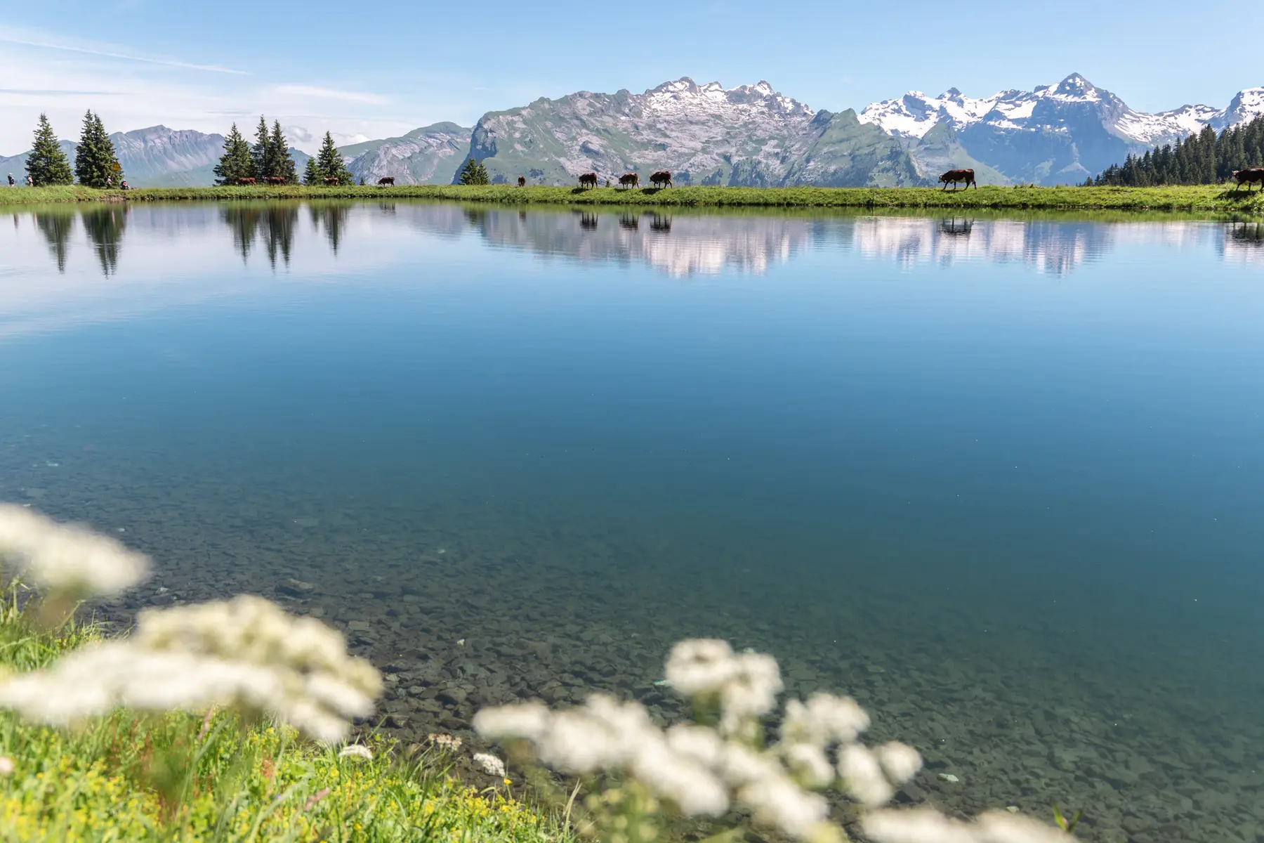 Lac des Gouilles