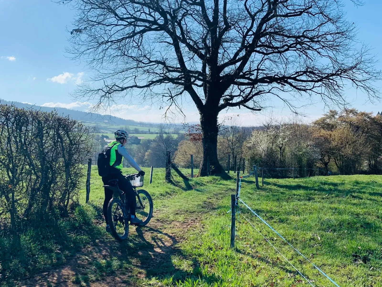 VTT