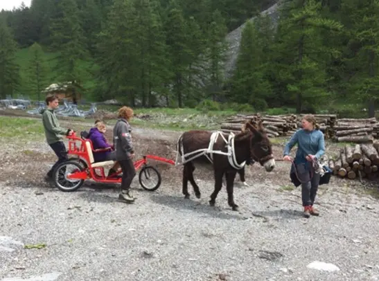 la queyragoline et son tracteur à 4 pattes