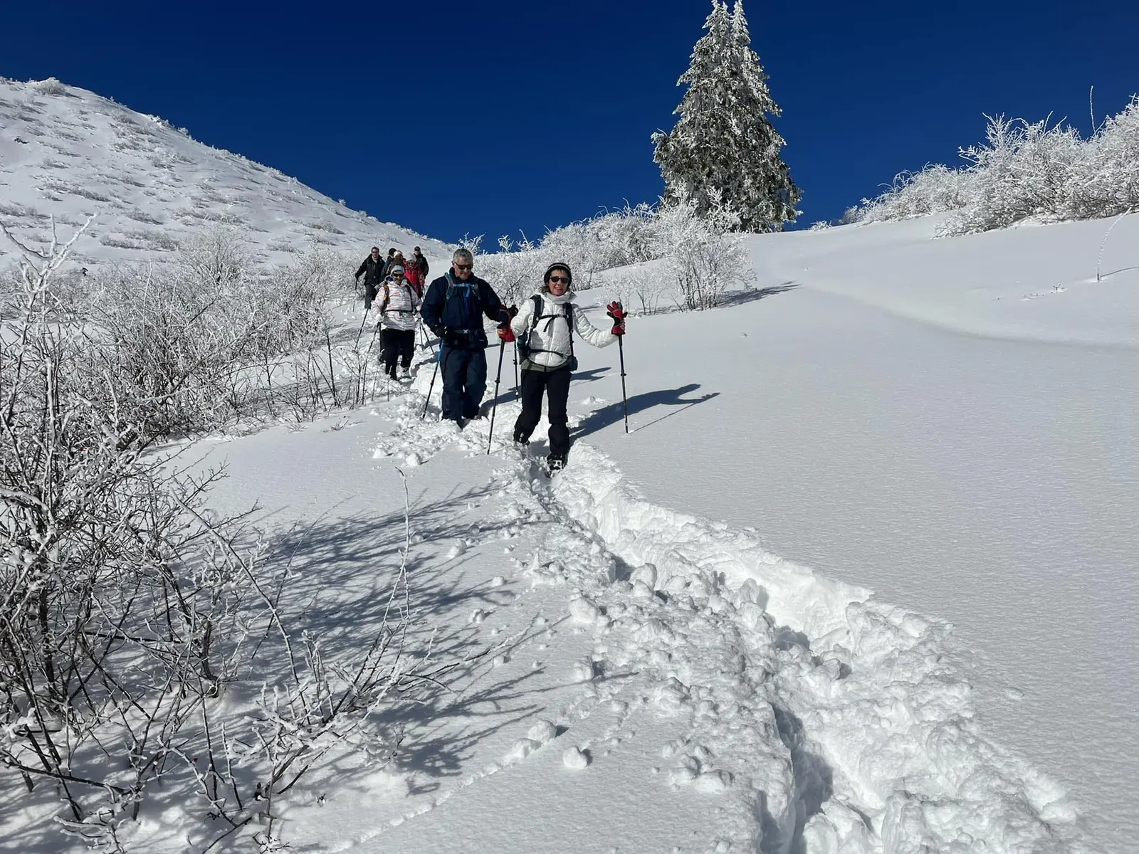Groupe en randonnée raquettes avec Guillaume Gagnaire