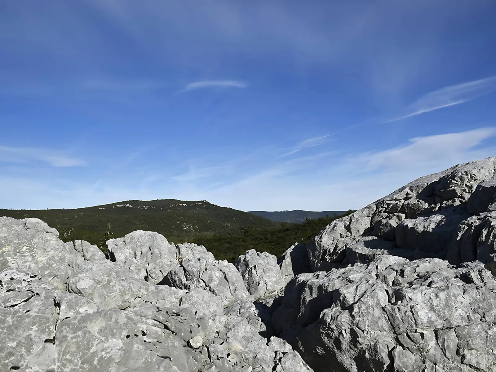 Vue sur les roches prédominantes et le massif forestier à l'arrière plan