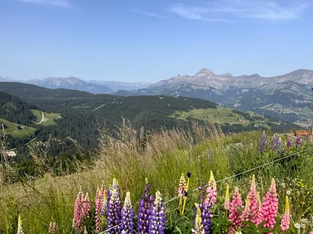 Le Mont Charvin depuis Les Saisies