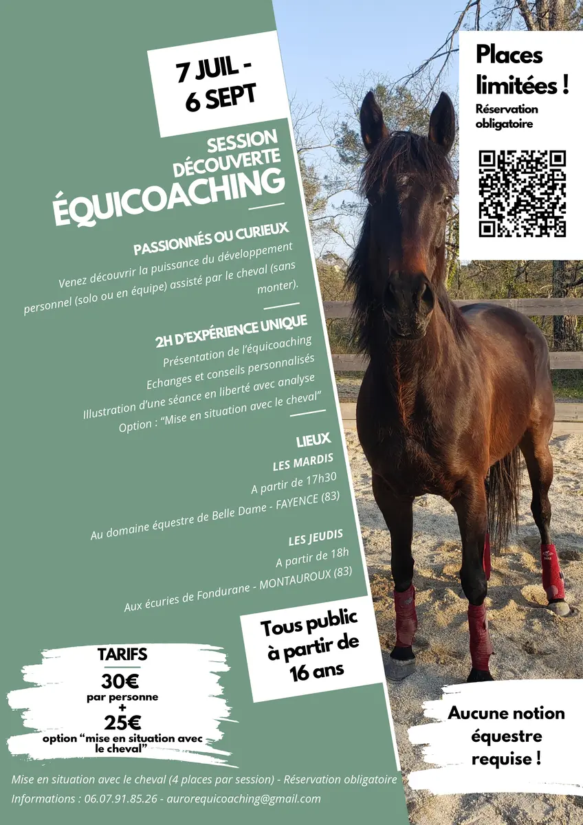Aurore ULLY équipecoaching