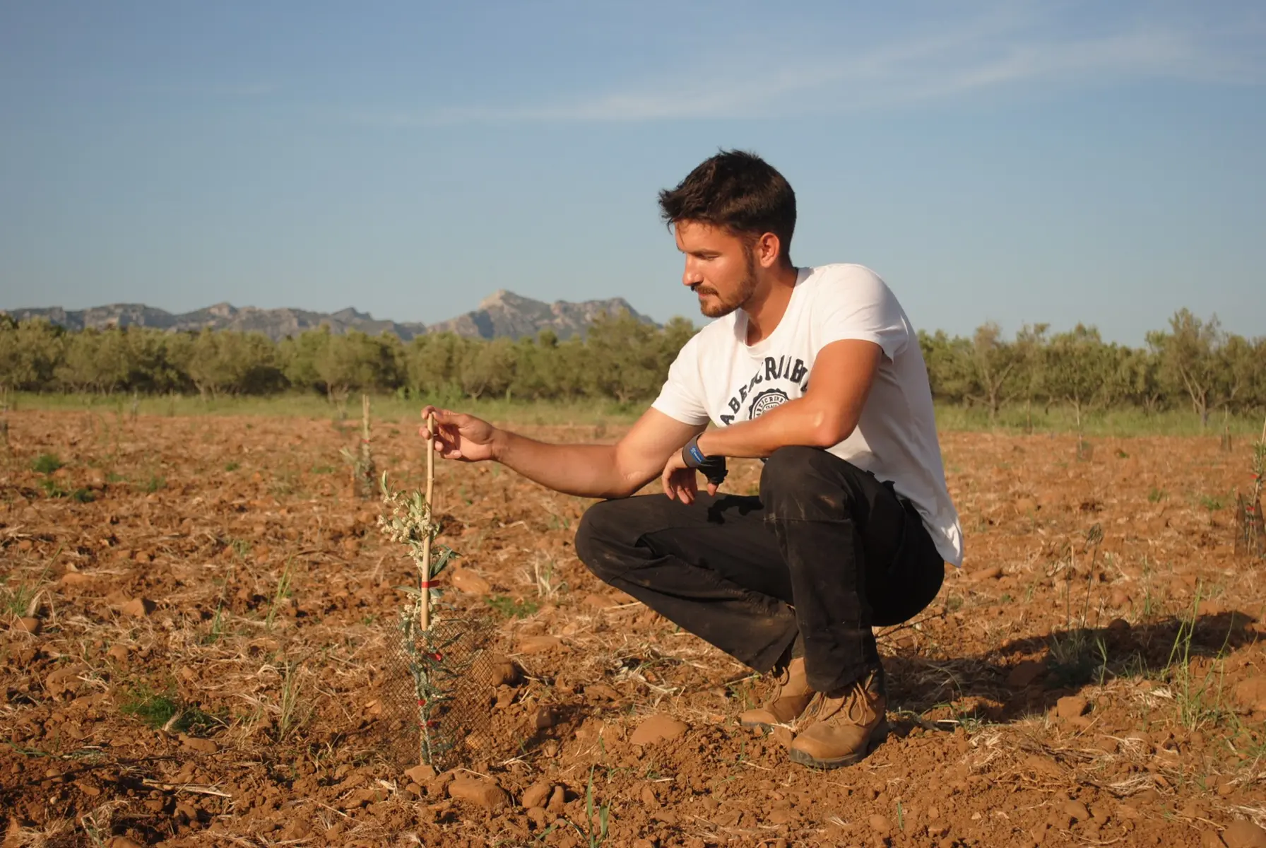 Amouriès - Domaine Delabarre Mouriès producer Lucas