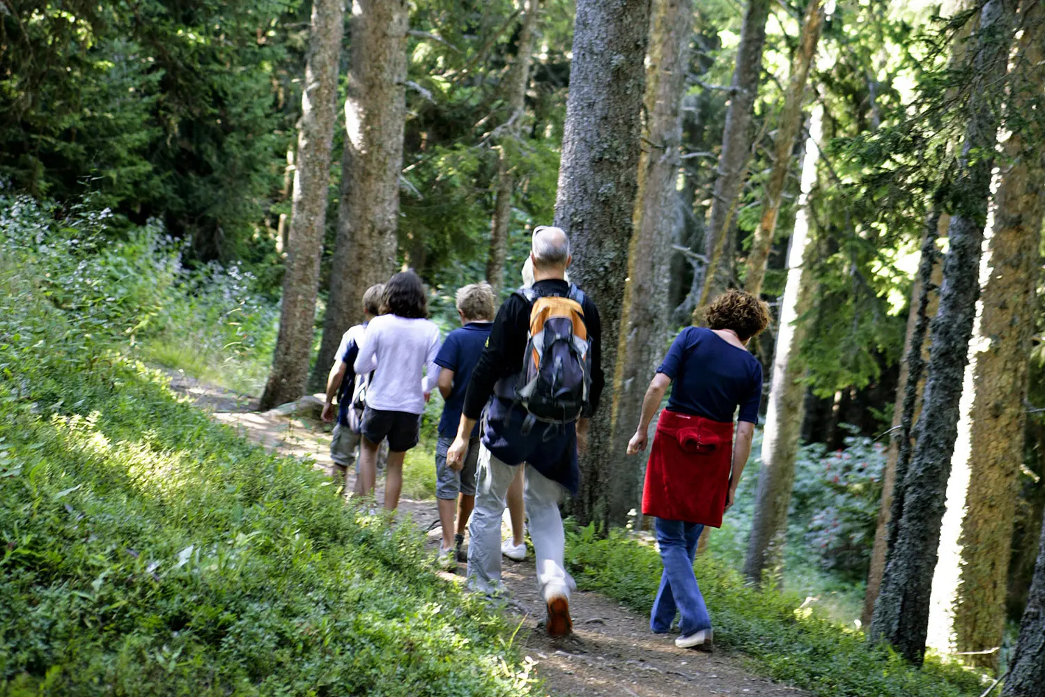 Sentier découverte forestière