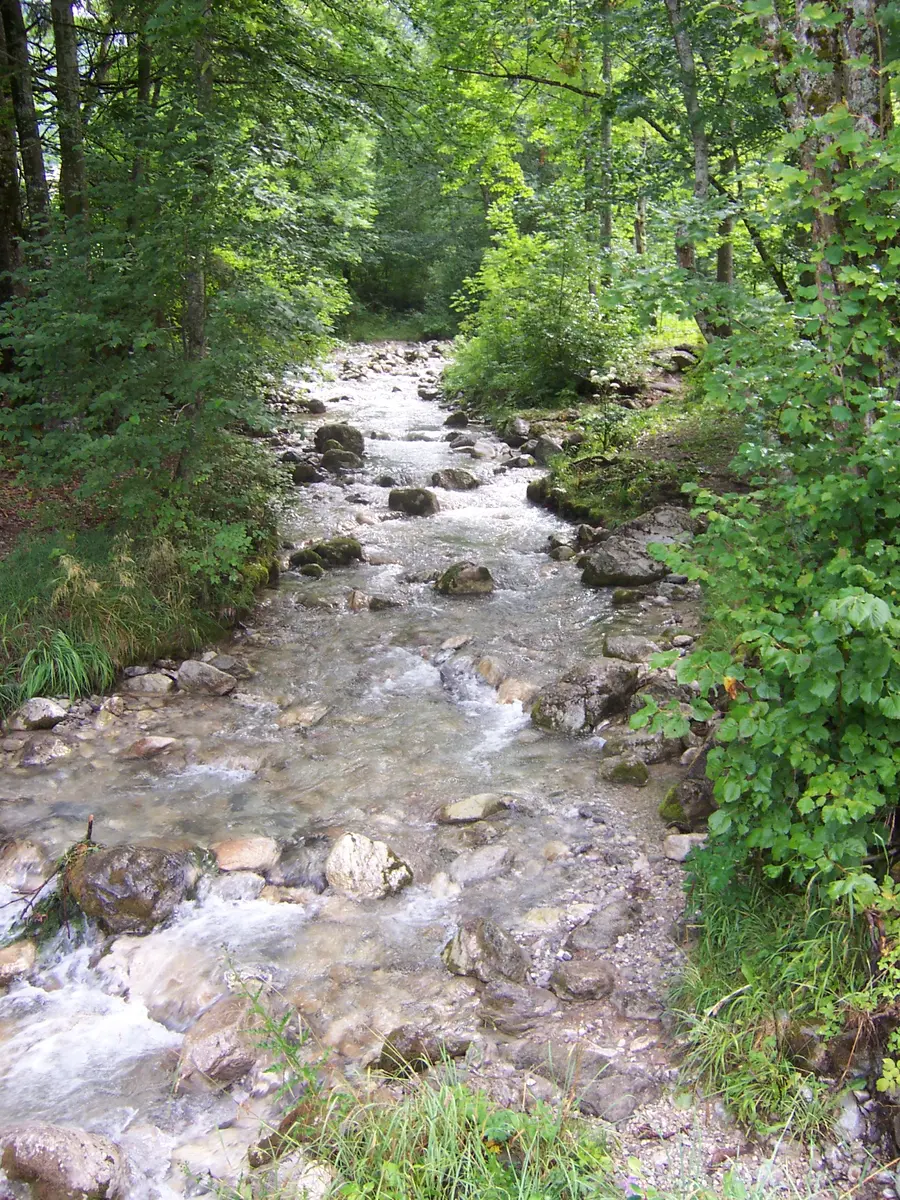 Rivière Ugine