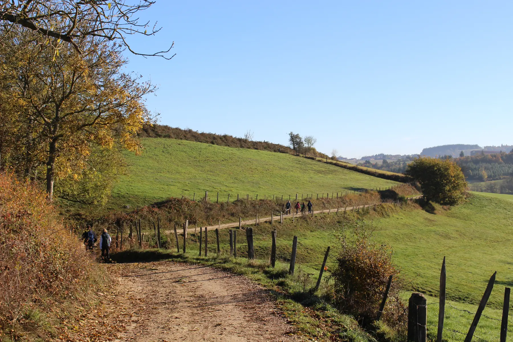 randonnée à Périgneux
