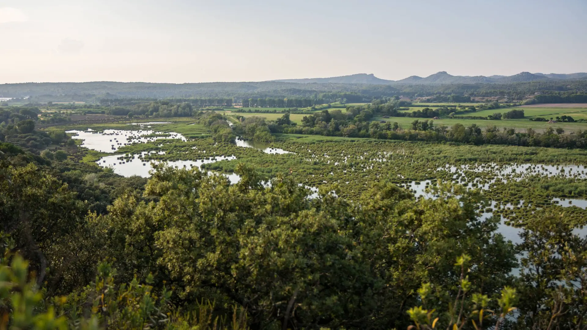 Vue sur le marais de l'Ilon