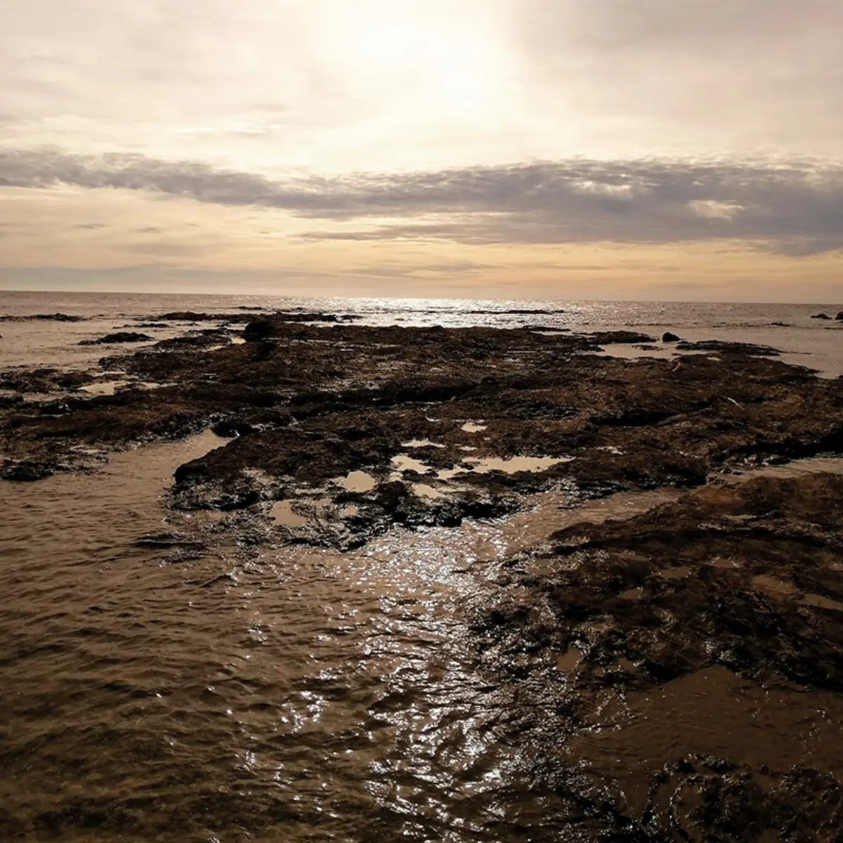 Balade photo naturaliste presqu'ile du gaou