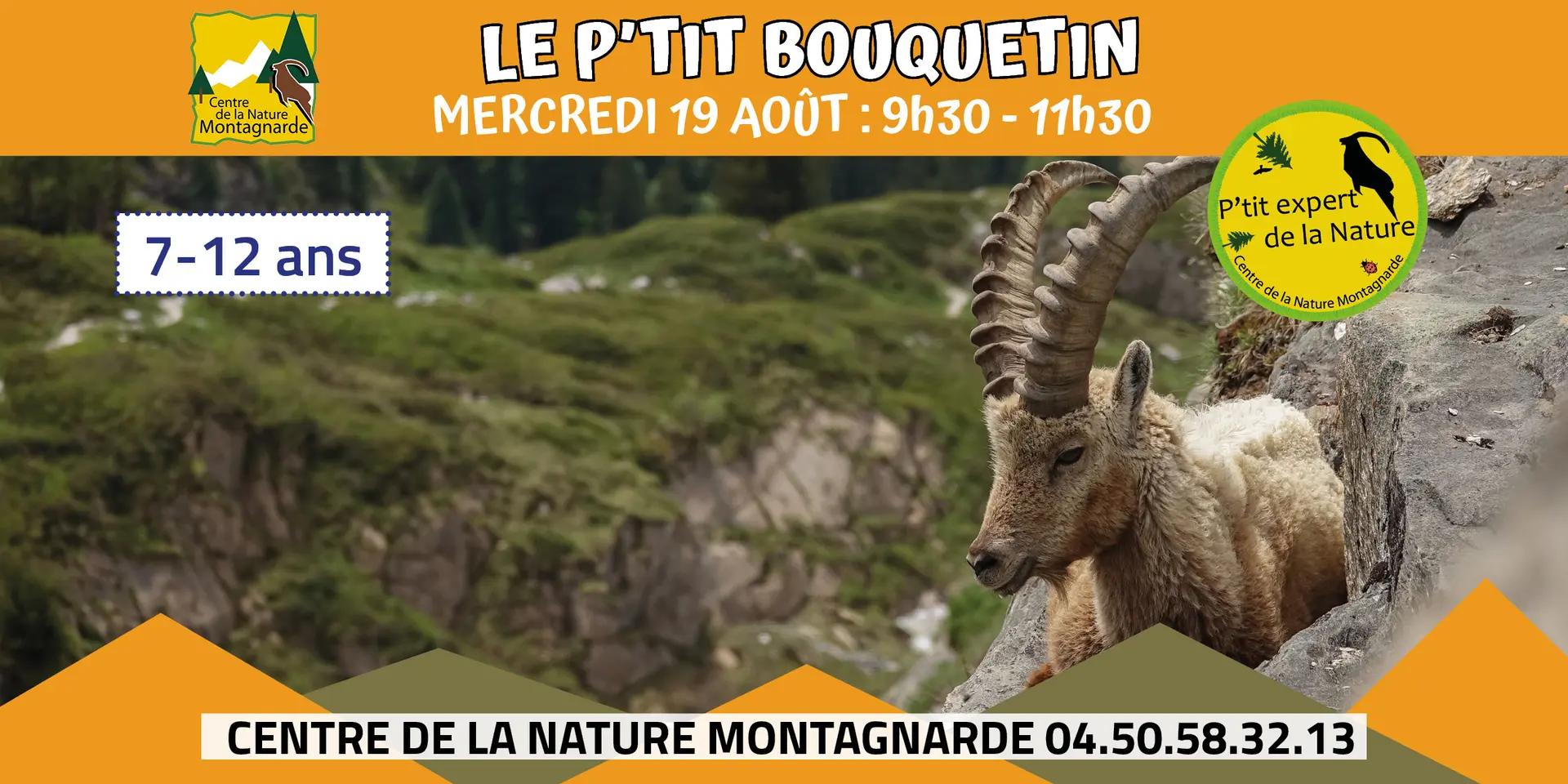 P'tit bouquetin