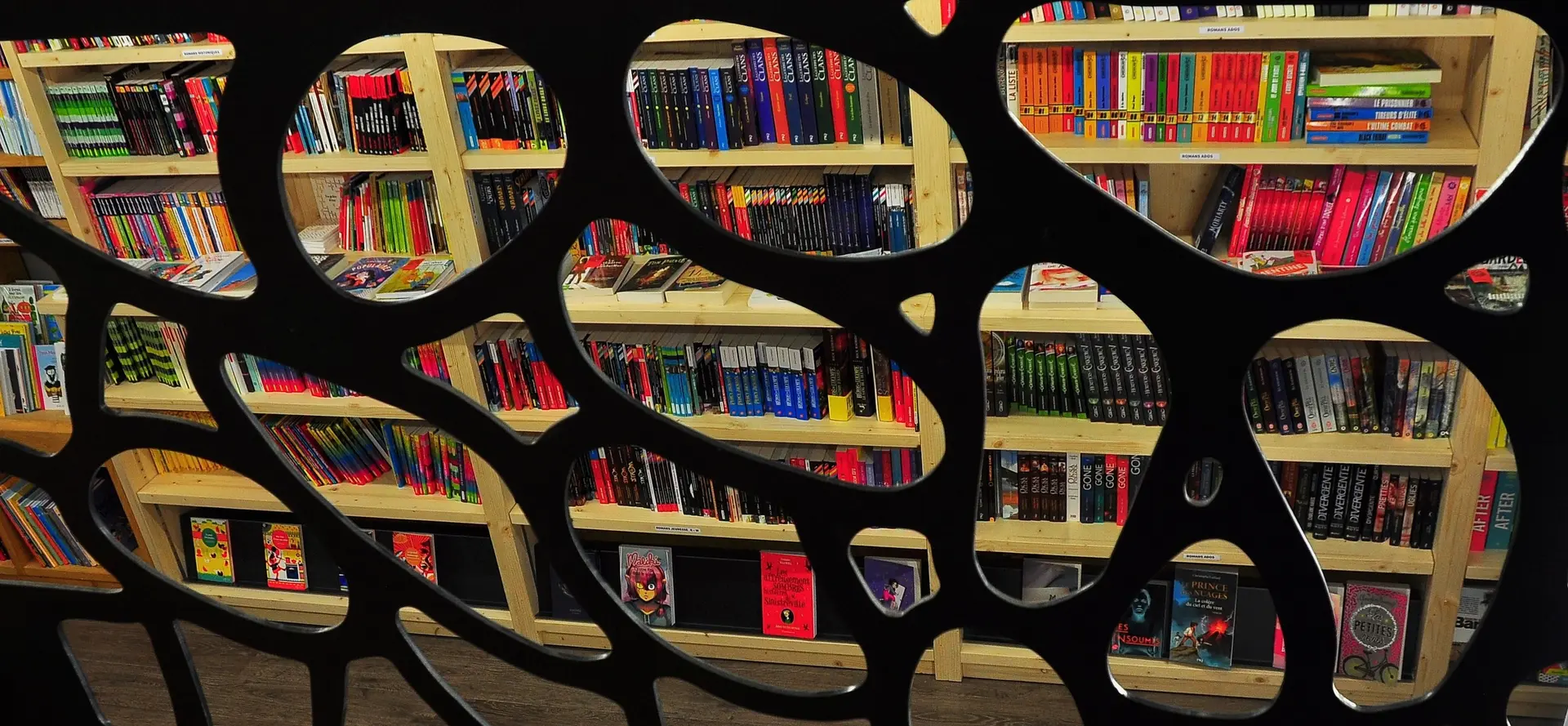 librairie