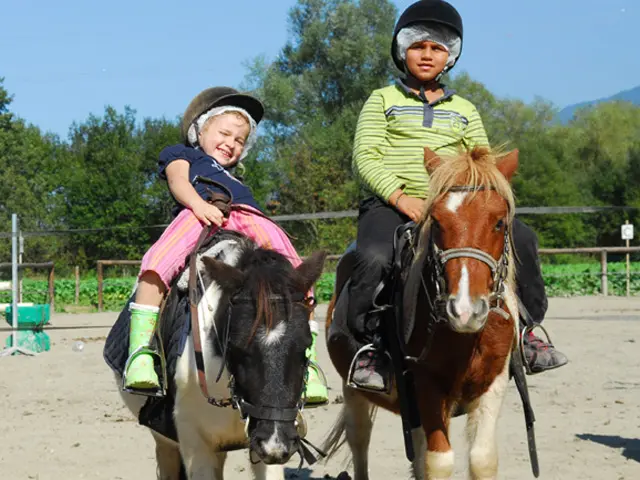 Vizille Balade en poneys