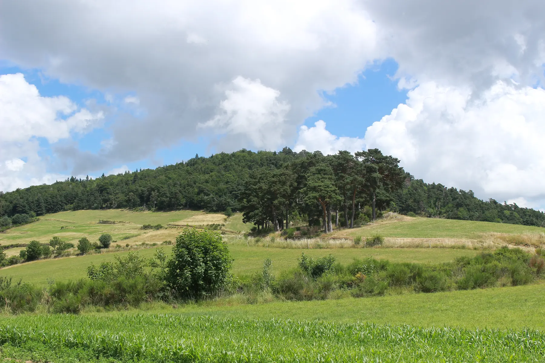 Randonnée à Lérigneux