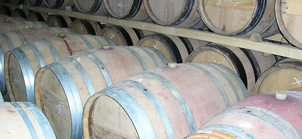 Chateau-le-Puy-Saurette