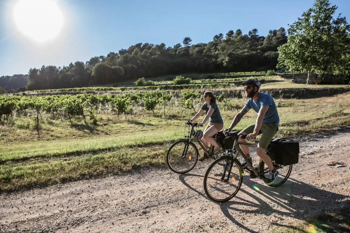 Vignoble de Pontevès