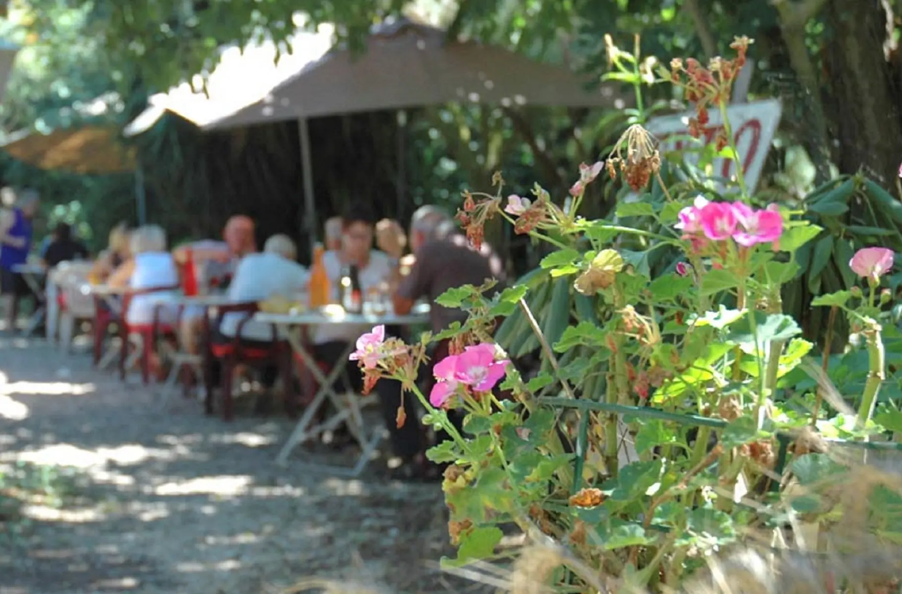 Mas Saint-Bertrand Arles