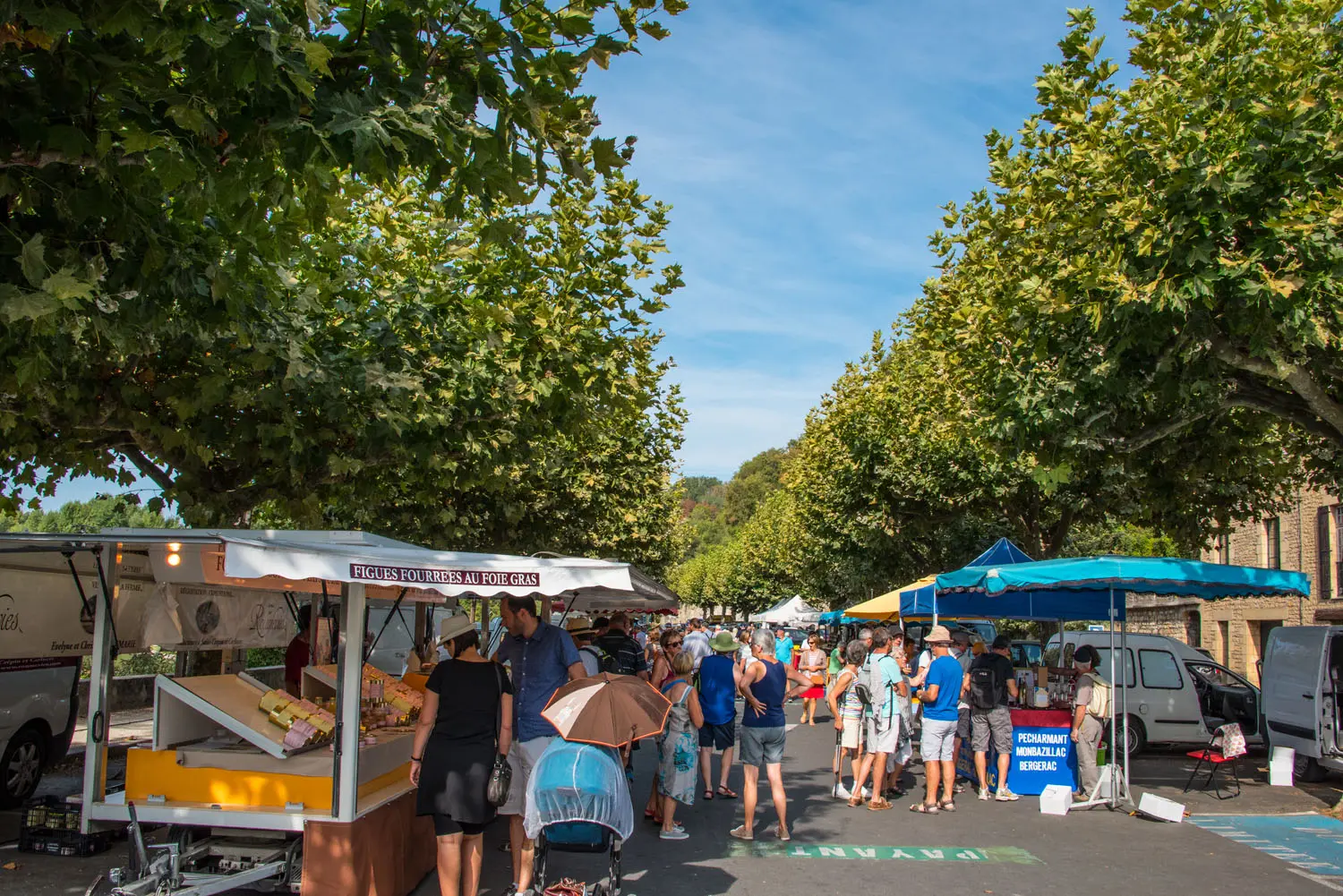 Marche_Beynac_Dan_Courtice (38)