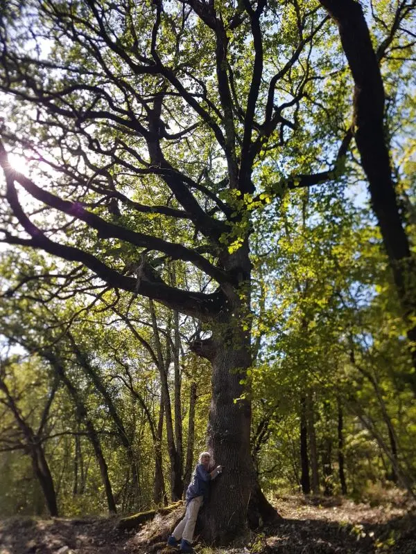 Arbre et H 1©Cristina SANS