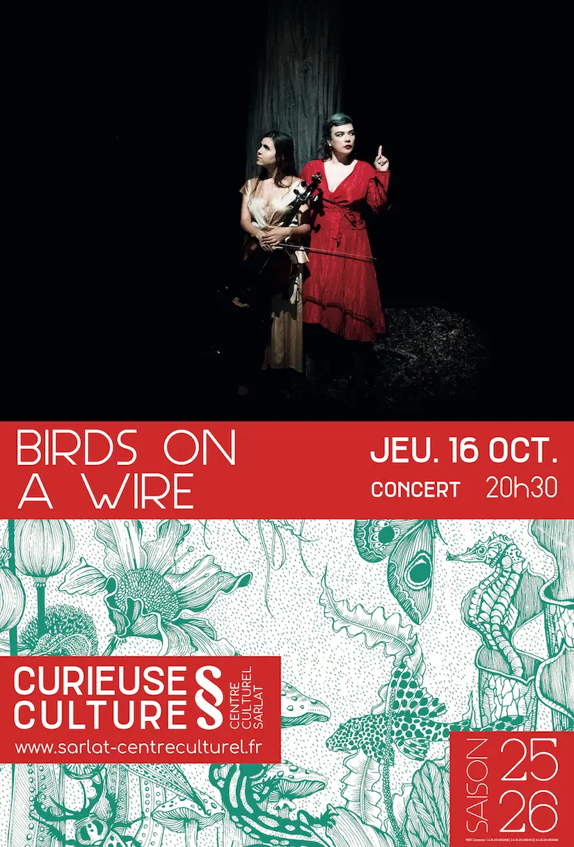 BIRDS ON A WIRE