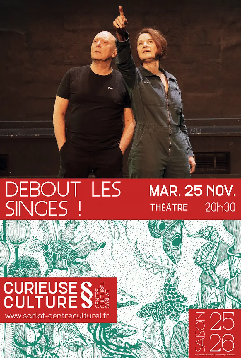 Debout les singes