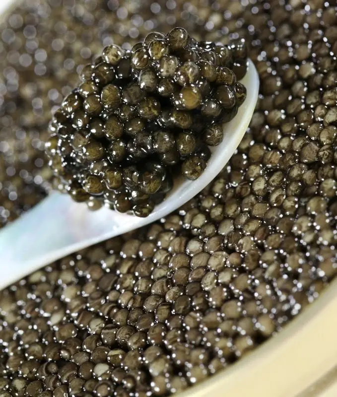 Caviar-Perle-Noire---CAVIAR-CUILLERE---c-thierry-valier