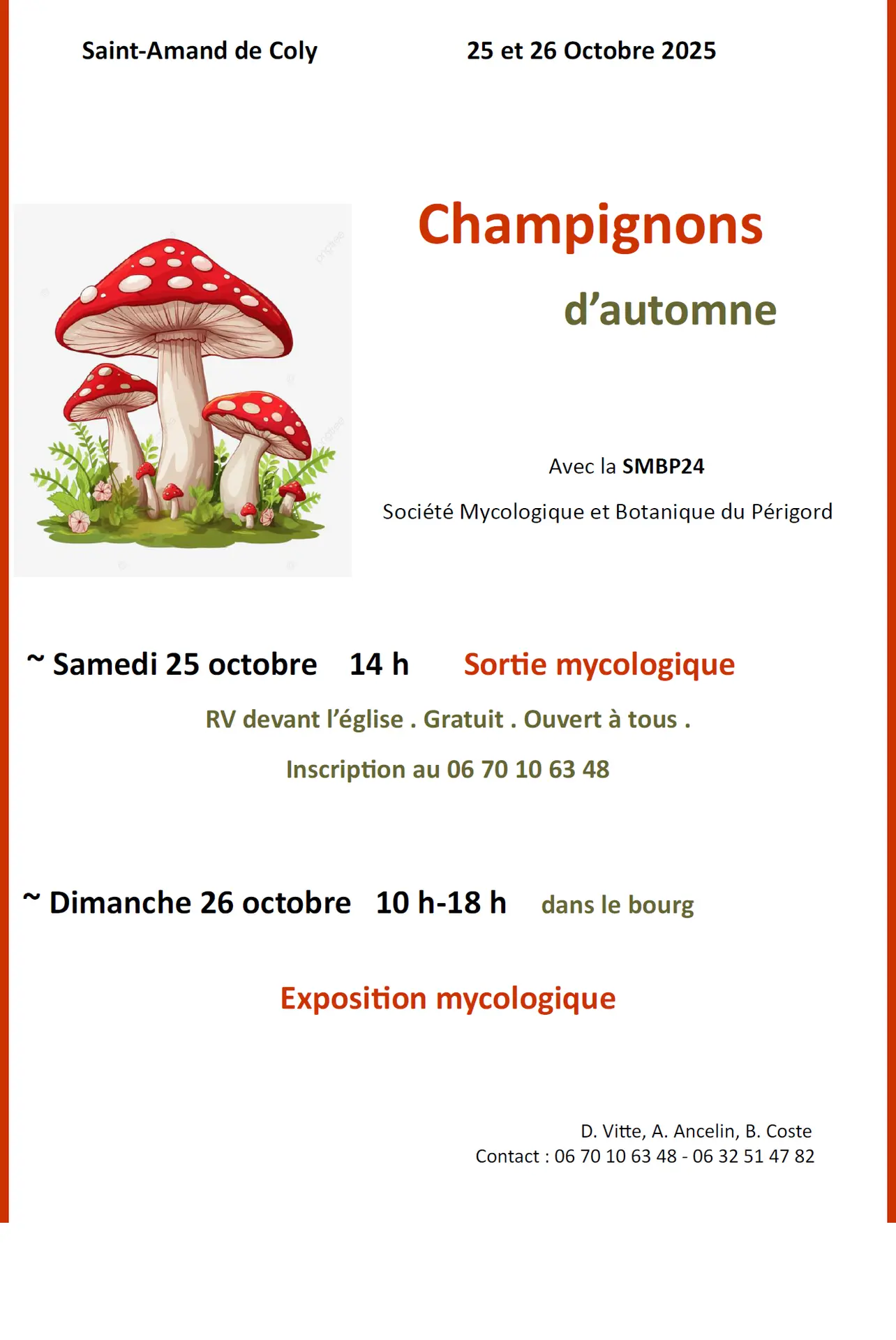 Champignons d'automne