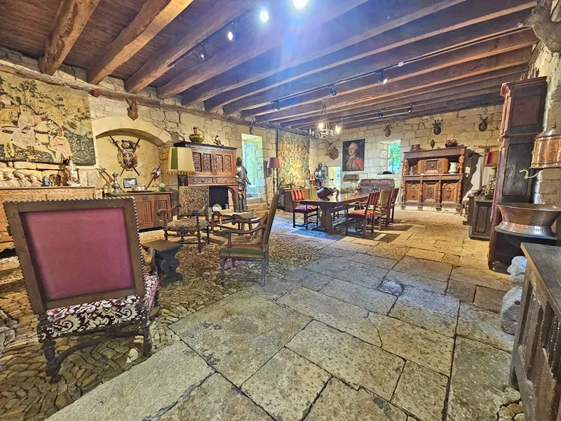 Copie de Donjon-Manoir-Jardin-de-la-Salle---Salon-en-bas