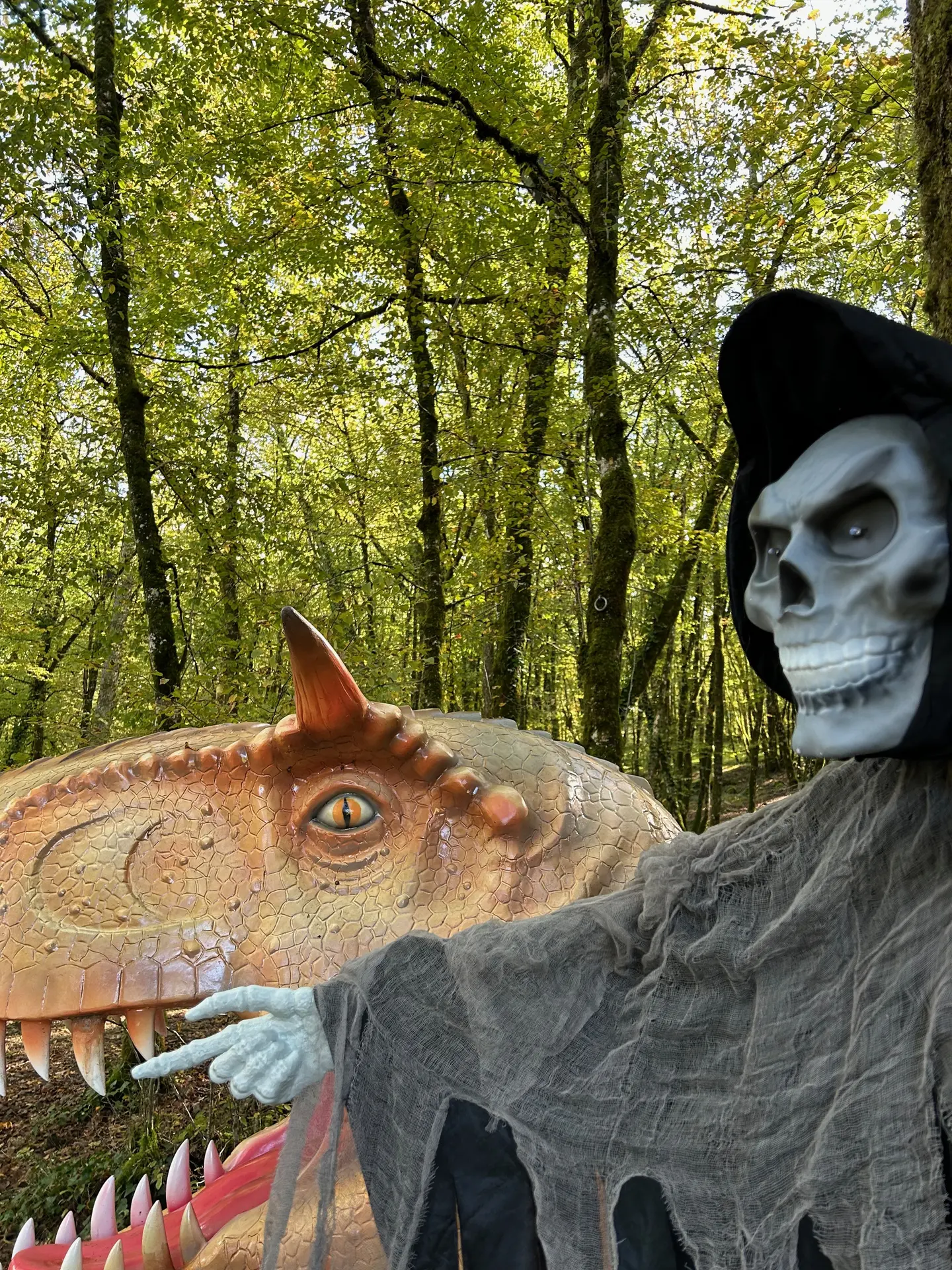Halloween chez les dinos IMG_6071