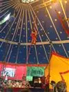 IMG-2952-2