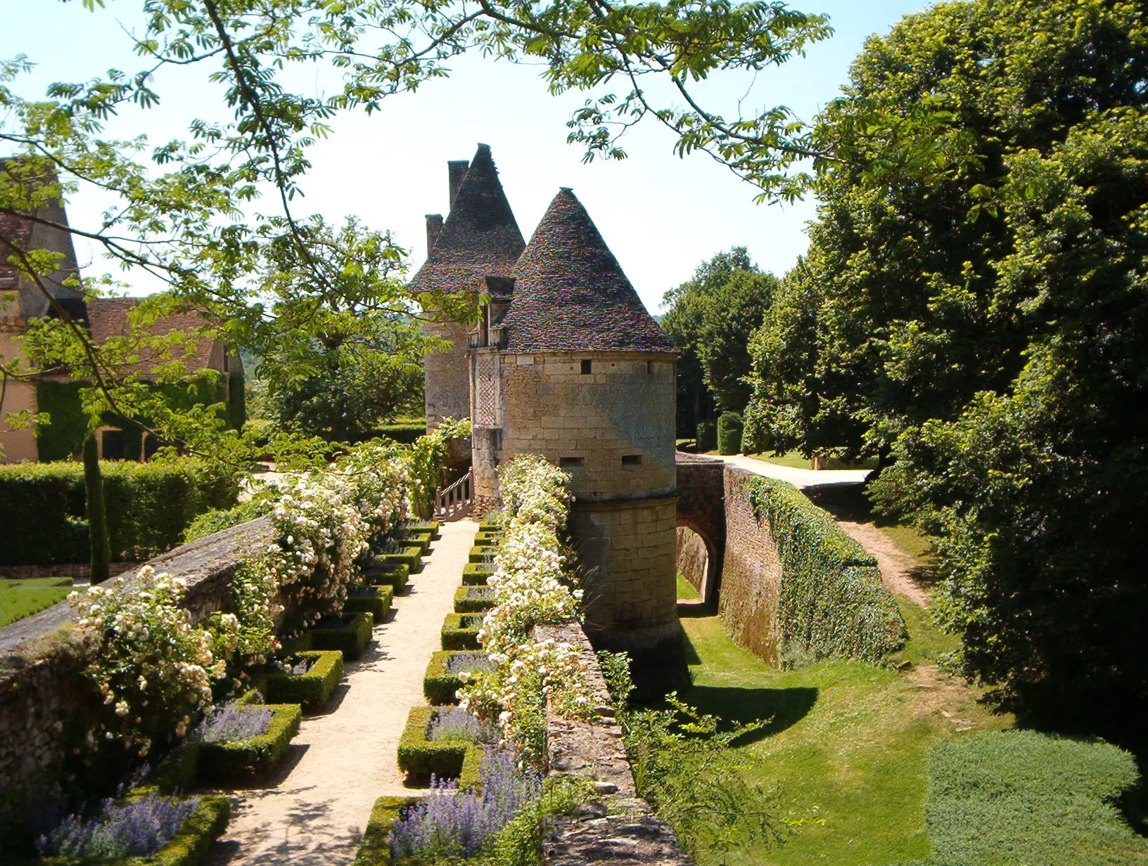 PCU_rempart fleuri côté douve_château de losse_Thonac_mai 2003©Eric-Sanders