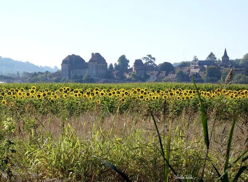 Siorac_Balade_Dordogne_Happy-Cultors_Venitia_Teida
