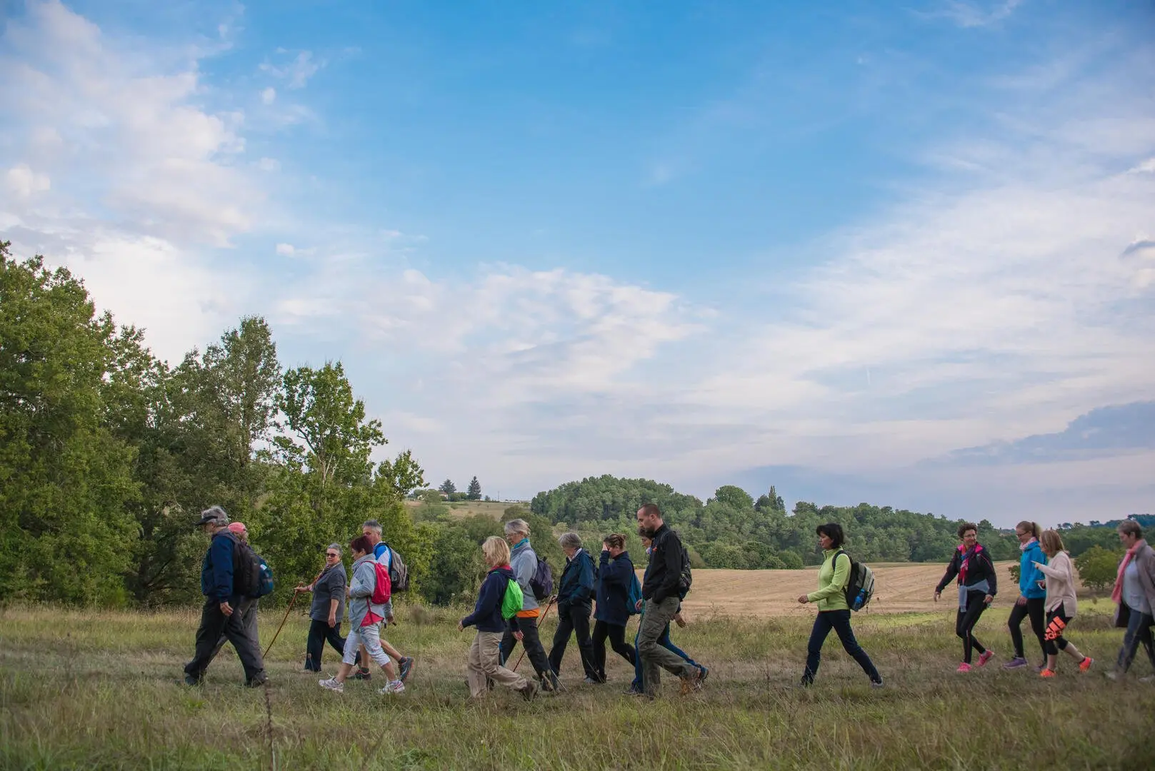 Transhumance Dan Courtice (20)