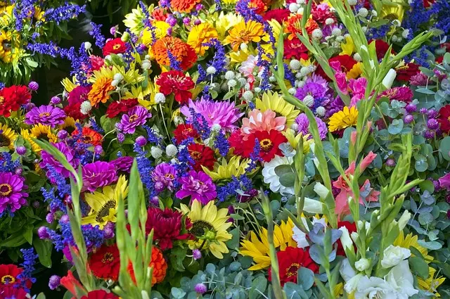 mikegoad-madison-farm-market-flowers-4167332_640