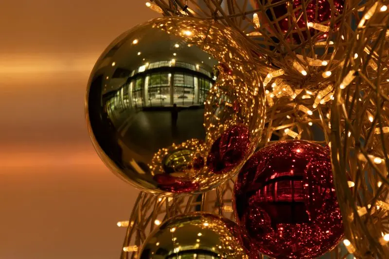 mitchell-luo-havJRl9CZJ0-unsplash©Mitchell Luo sur unsplash