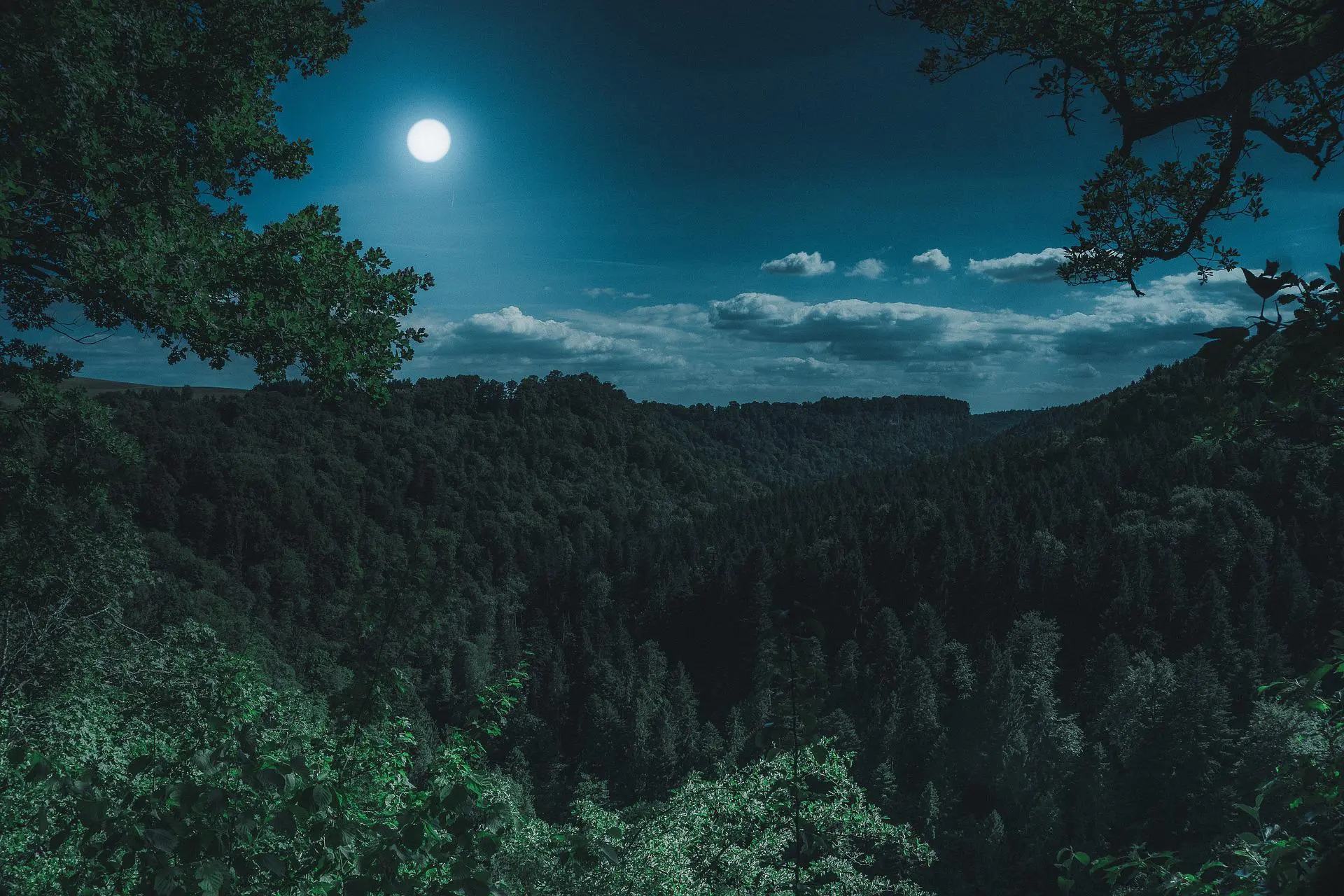 nature-3194001_1920
