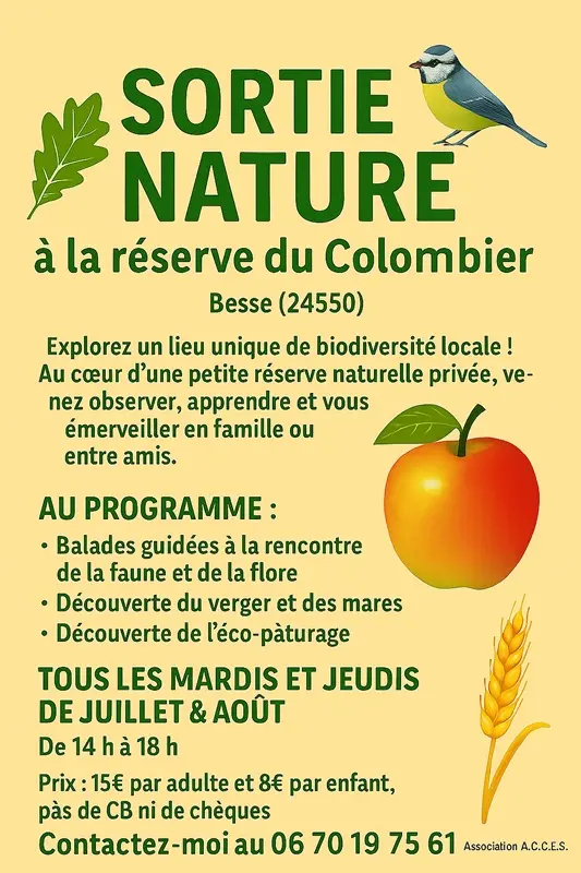 affiche animation nature